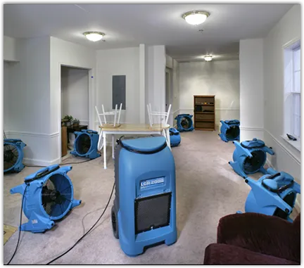Emergency Water Damage Services in Naples, FL