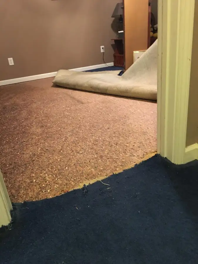 Carpet pad removal revealing water damage during Drying & Dehumidification in Naples