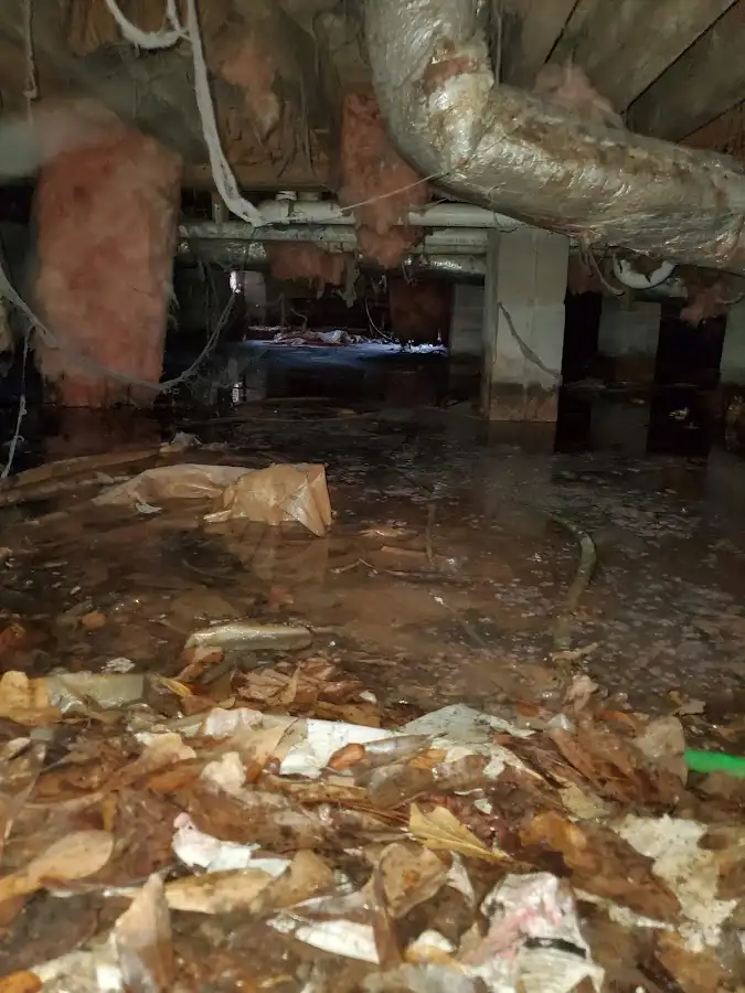 Crawl space flood assessment for Leak Detection & Repair in Naples