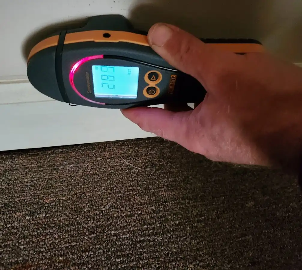 Moisture detection at baseboard during Mold Inspection & Testing in Naples